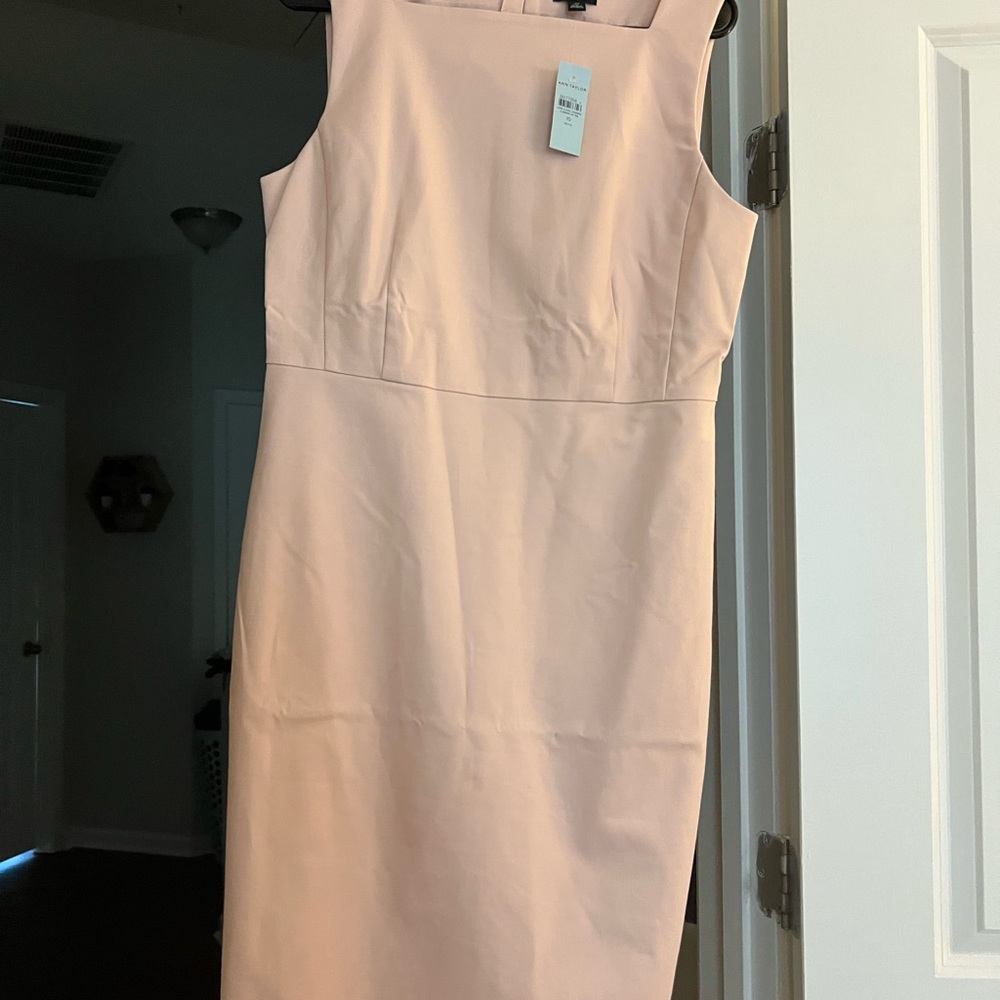Ann Taylor Blush Midi Dress